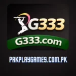 G333 game