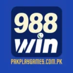 988Win Game