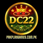 DC22 Game